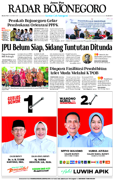 12 November 2024
